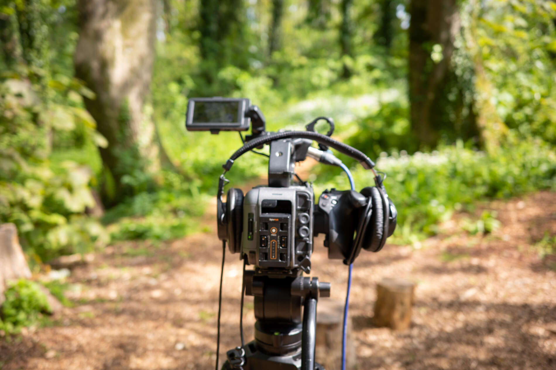 Fresh Ground Films Exeter | Cinematic Stories With Soul